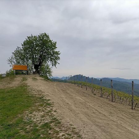 فندق Monferrato Bed&Bike Murisengo المظهر الخارجي الصورة